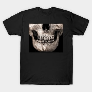 Halloween Skull Mask T-Shirt